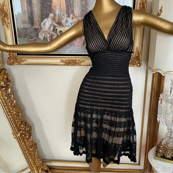 Max Studio Specialty Products Dresses | Max Studio Specialty Products Zoe Lace Dress | Color: Black/Tan | Size: Xs | Caponesan's Closet